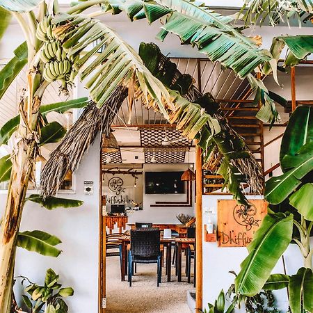 Dhiffushi Inn Exteriér fotografie